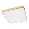 Потолочный светильник Loft IT Flims 10228/D