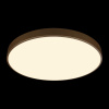 Потолочный светильник Loft IT Flims 10228/B
