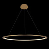 Подвесной светодиодный светильник Loft IT Ring 10014L