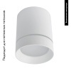 Накладной светильник Arte Lamp Elle A1949PL-1WH