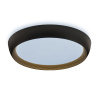 Потолочный светильник Lumina Deco Paneli LDC 8062-48W BK