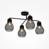 Потолочная люстра Freya Kaisa FR5069PL-04B
