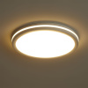 Потолочный светильник Freya Rua FR6160CL-L40W