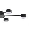 Потолочная люстра Lumion Comfi Torina 8344/6C