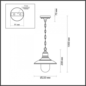 Подвесной уличный светильник Odeon Light 4965/1