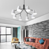 Подвесная люстра ImperiumLoft Skym 203499-26