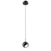Подвесной светильник DeLight Collection MD2826-1B black/gold
