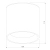 Уличный потолочный светильник Elektrostandard Light LED 4690389176975