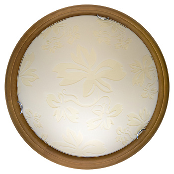 Настенно-потолочный светодиодный светильник Toplight Jane TL9640Y-00OA