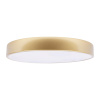 Потолочный светильник Loft IT Flims 10228/A