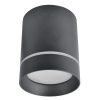Накладной светильник Arte Lamp Elle A1949PL-1BK
