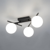 Настенно-потолочный светильник Citilux Dorsy CL223132