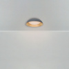 Потолочный светильник Freya Moonlight FR5277CL-L72GR