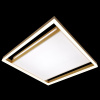 Потолочная люстра Natali Kovaltseva LED LAMPS 81307
