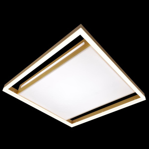 Потолочная люстра Natali Kovaltseva LED LAMPS 81307