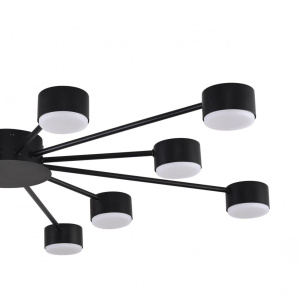 Потолочная люстра Lumion Comfi Torina 8344/12C