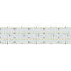Светодиодная лента Arlight S2-A420-59mm 24V Warm3000 (30 W/m, IP20, 2835, 2.5m) 021208(2)