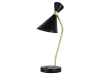 Настольная лампа Zortes DeskLight ZRS.1066.04