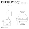 Подвесной светильник Citilux Signature CL247043