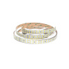 Светодиодная лента LEDS POWER двухрядная 2835 240/м (22Вт/м) 24В теплая, серия ПРО200 009056