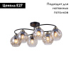 Потолочная люстра Omnilux Carini OML-95007-06