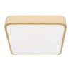 Потолочный светильник Loft IT Flims 10228/C