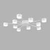 Потолочная люстра Lumion Comfi Torina 8343/10C
