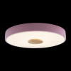 Потолочный светильник Loft IT AXEL 10003/24 Pink