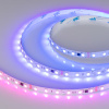 Светодиодная лента Arlight SPI-B60-10mm 24V RGB-PX6-BPT (12 W/m, IP20, 5060, 5m) 039180