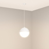 Подвесной светильник Arlight SP-EMISFERO-HANG-BUILT-R150-11W Day4000 (WH, 170 deg, 230V) 056586