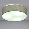 Потолочный светильник LightHall Turdan 50 LH022031