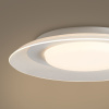 Потолочный светильник Freya Asta FR6151CL-L69W