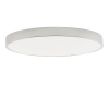 Потолочный светильник Zortes Tortty ZRS.02565.96