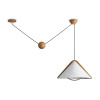 Подвесной светильник Freya Umbra FR5554CL-01T