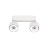 Накладной спот Loft IT Focus 10323/2A White