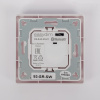 Настенная радиопанель SWG ES-B-W-K2-Z1 013295
