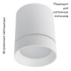 Потолочный светодиодный светильник Arte Lamp A1909PL-1WH