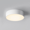Уличный потолочный светильник Maytoni Zon IP O431CL-L30W3K