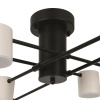 Потолочный светильник Freya Tibo FR6048CL-L8B