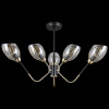 Люстра на штанге Illumico IL9960-6CSQ-79 BK AB