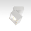 Спот Citilux CL558020N
