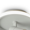 Потолочный светильник Freya Neo FR6040CL-L14W