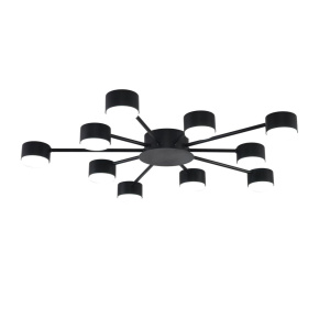 Потолочная люстра Lumion Comfi Torina 8344/10C