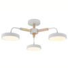 Подвесной светильник Escada Kaori 10270/3LED