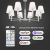 Люстра на штанге Eurosvet Conso 60145/8 хром Smart a061956
