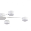 Потолочная люстра Lumion Comfi Torina 8343/6C