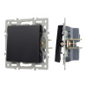 Механизм выключателя одноклавишный непроходной Arlight SWT-MK01-PL-BK (250V, 16A) 043711