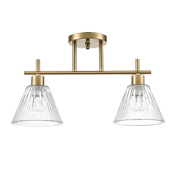 Потолочный светильник Lumion Vivian 8188/2C