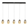 Подвесной светильник Delight Collection MD25090022-5B matt black/champagne