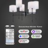 Люстра на штанге Eurosvet Notturno 60162/6 черный Smart a065662